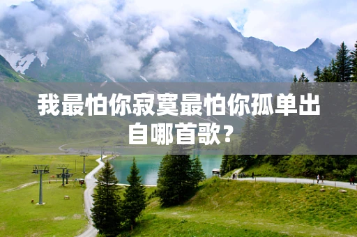 我最怕你寂寞最怕你孤单出自哪首歌？