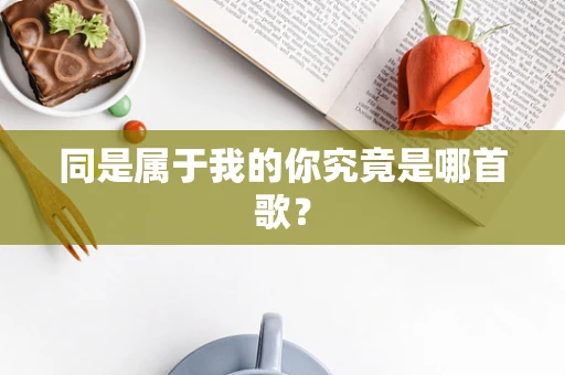 同是属于我的你究竟是哪首歌？