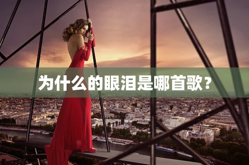 为什么的眼泪是哪首歌？