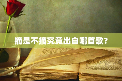 摘是不摘究竟出自哪首歌？