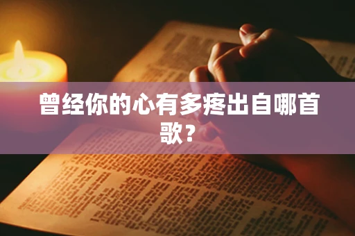 曾经你的心有多疼出自哪首歌？