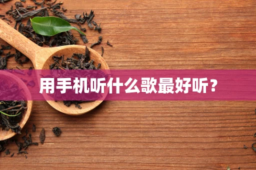 用手机听什么歌最好听？