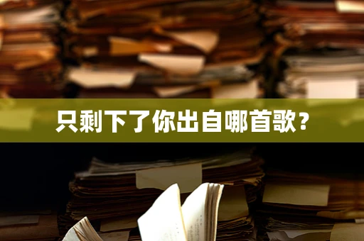 只剩下了你出自哪首歌？