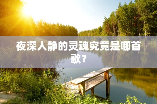夜深人静的灵魂究竟是哪首歌？