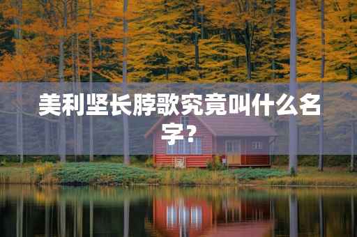 美利坚长脖歌究竟叫什么名字？