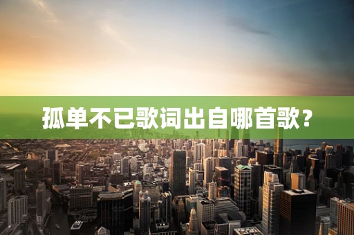 孤单不已歌词出自哪首歌？