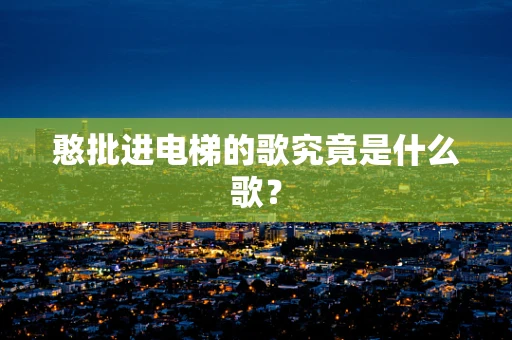 憨批进电梯的歌究竟是什么歌？