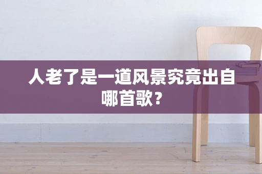 人老了是一道风景究竟出自哪首歌？