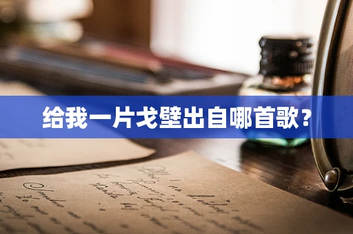 给我一片戈壁出自哪首歌？
