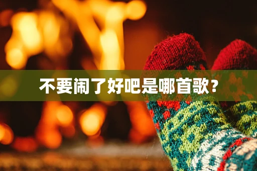 不要闹了好吧是哪首歌？