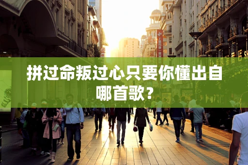 拼过命叛过心只要你懂出自哪首歌？