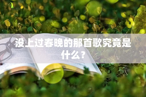 没上过春晚的那首歌究竟是什么？