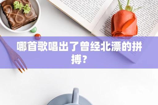 哪首歌唱出了曾经北漂的拼搏？