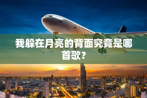 我躲在月亮的背面究竟是哪首歌？