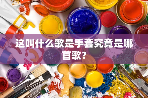 这叫什么歌是手套究竟是哪首歌？