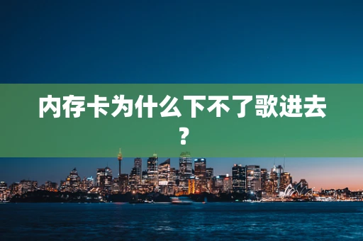 内存卡为什么下不了歌进去？