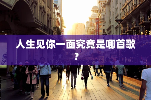 人生见你一面究竟是哪首歌？