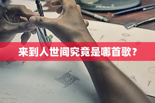 来到人世间究竟是哪首歌？