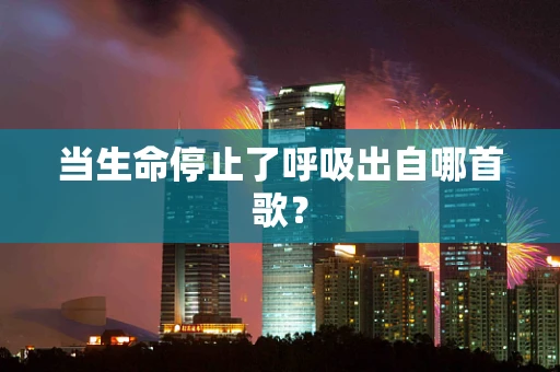 当生命停止了呼吸出自哪首歌？