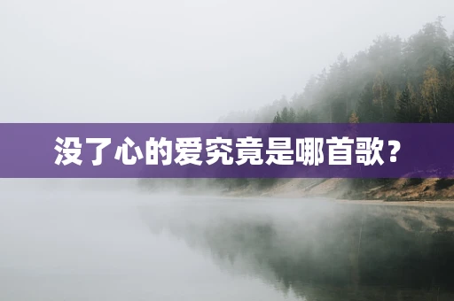 没了心的爱究竟是哪首歌？