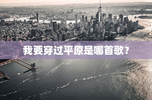 我要穿过平原是哪首歌？