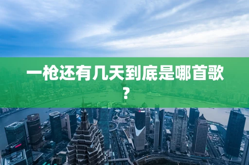 一枪还有几天到底是哪首歌？