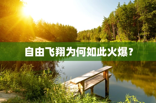 自由飞翔为何如此火爆？