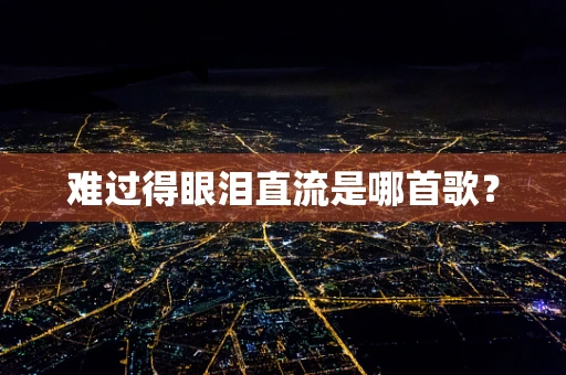 难过得眼泪直流是哪首歌？