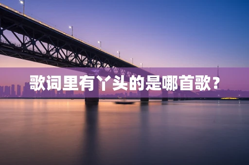 歌词里有丫头的是哪首歌？