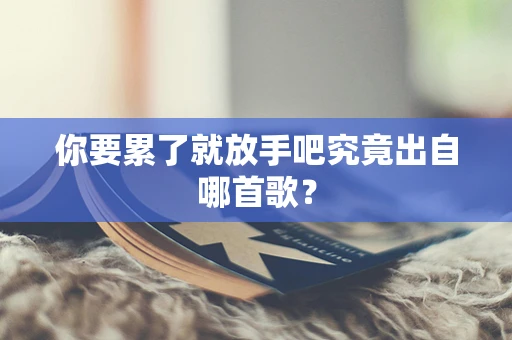 你要累了就放手吧究竟出自哪首歌？