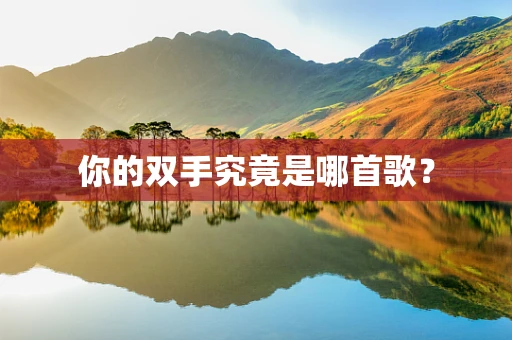 你的双手究竟是哪首歌？