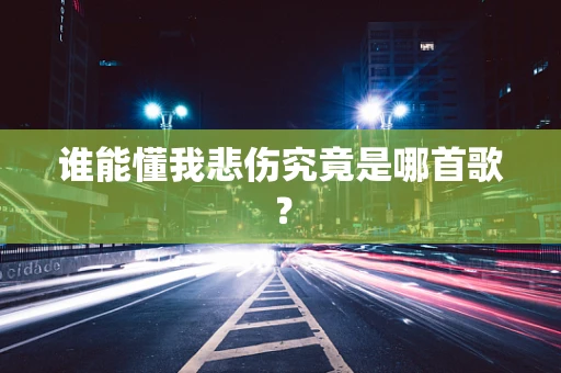谁能懂我悲伤究竟是哪首歌？
