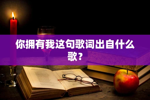 你拥有我这句歌词出自什么歌？