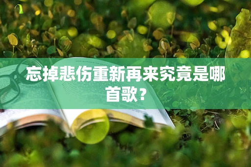 忘掉悲伤重新再来究竟是哪首歌？