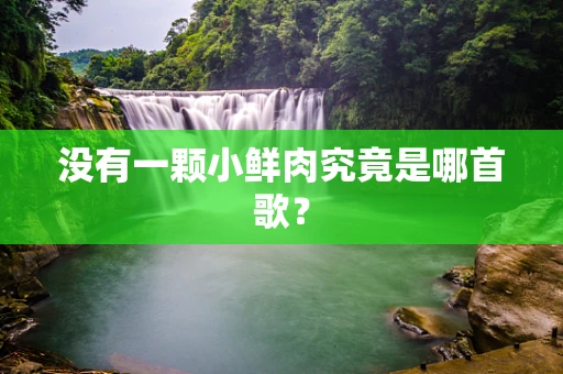 没有一颗小鲜肉究竟是哪首歌？