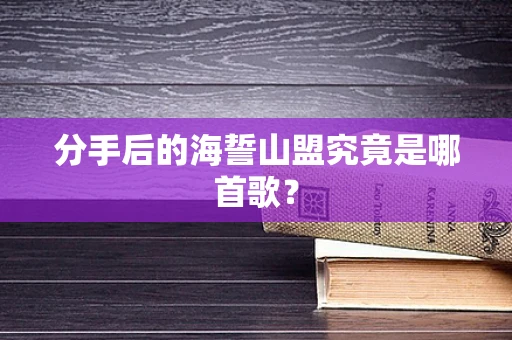 分手后的海誓山盟究竟是哪首歌？