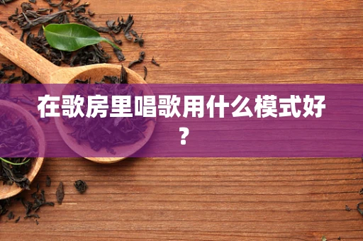 在歌房里唱歌用什么模式好？