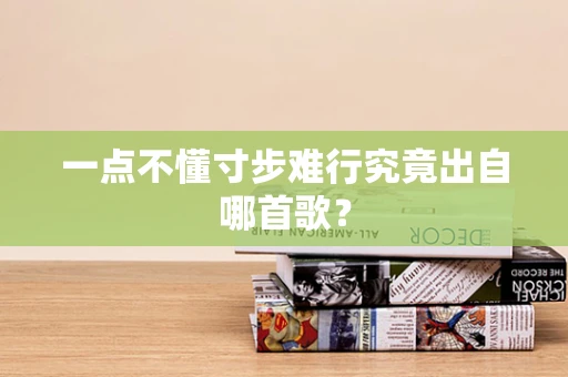 一点不懂寸步难行究竟出自哪首歌？