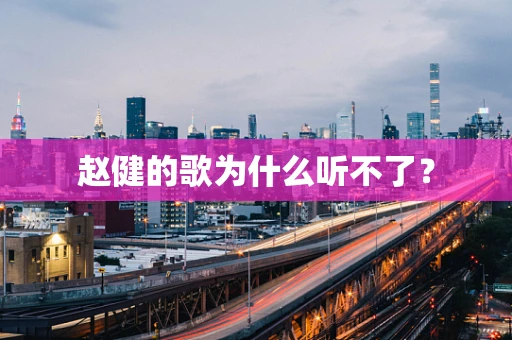 赵健的歌为什么听不了？