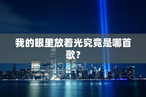 我的眼里放着光究竟是哪首歌？