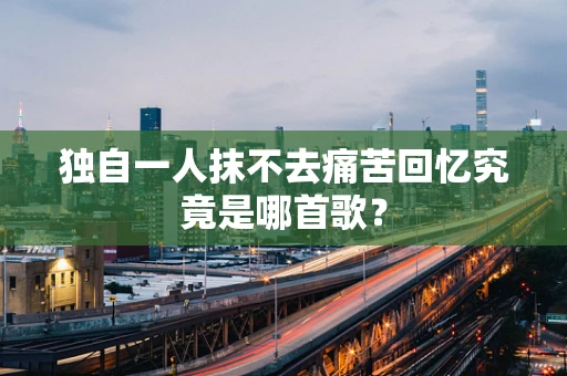 独自一人抹不去痛苦回忆究竟是哪首歌？