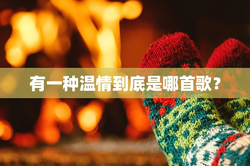 有一种温情到底是哪首歌？