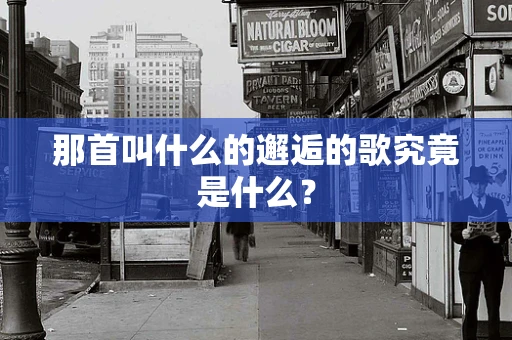那首叫什么的邂逅的歌究竟是什么？