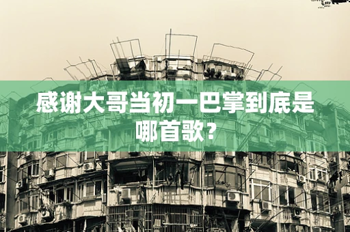 感谢大哥当初一巴掌到底是哪首歌？