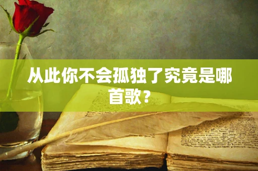 从此你不会孤独了究竟是哪首歌？