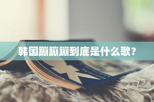 韩国蹦蹦蹦到底是什么歌？
