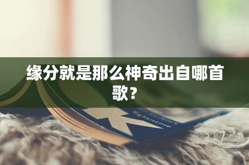 缘分就是那么神奇出自哪首歌？