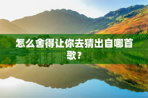 怎么舍得让你去猜出自哪首歌？