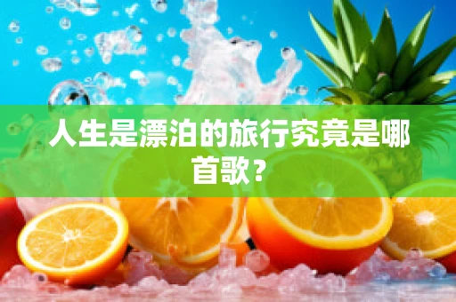 人生是漂泊的旅行究竟是哪首歌？