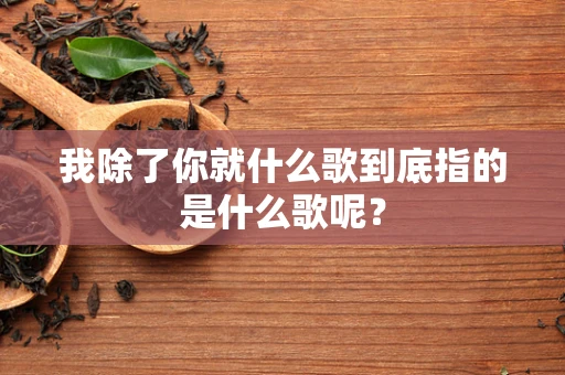 我除了你就什么歌到底指的是什么歌呢？